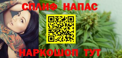 МДПВ Тара