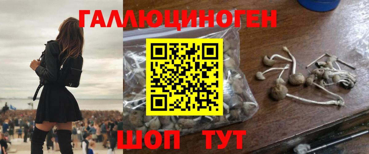 Псилоцибиновые грибы Psilocybine cubensis  Галлюциногенные грибы прущие грибы  как найти   Менделеевск  Вход с VPN 